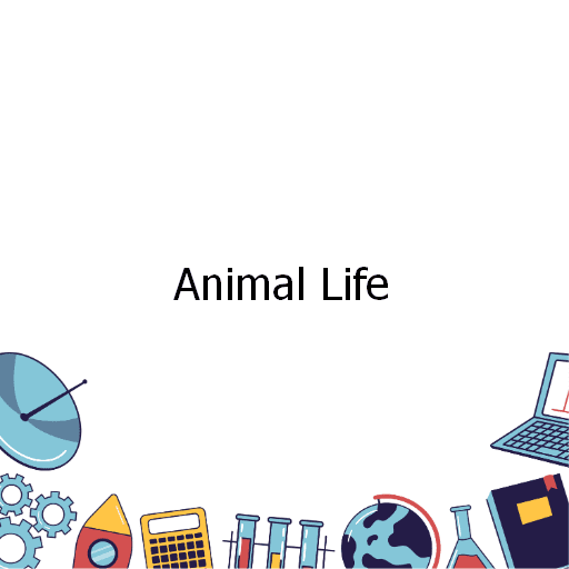 Animal Life